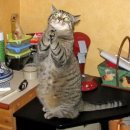 MA I TROVO TUTTI IO ?? - 13/03/2012