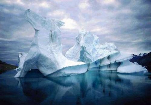 Scherzo della natura - 19/03/2012