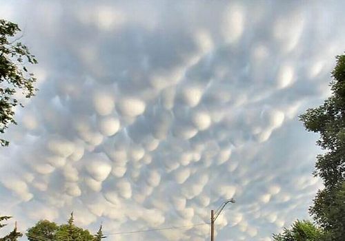 Scherzo della natura - 19/03/2012