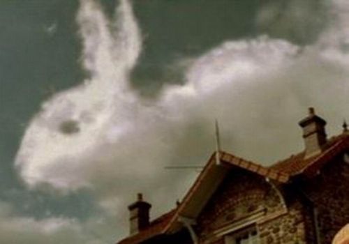 Scherzo della natura - 19/03/2012