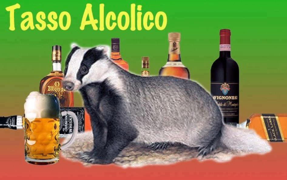 ER FAMOSO TASSO ALCOLICO !! - 03/05/2012