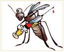 HO DATO PIU' SANGUE ALLE ZANZARE CHE ALL'AVIS !! - 04/03/2012