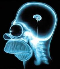 ER CERVELLO DA LEI SELEZIONATO E SPENTO O NUN RAGGIUNGIBILE... LA PREGHAMO DE RIPROVA' PIU' TARDI !! - 07/03/2012