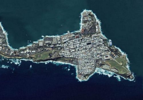 Scherzo della natura - 19/03/2012