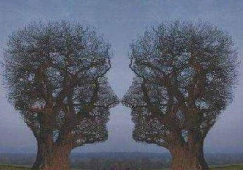 Scherzo della natura - 19/03/2012