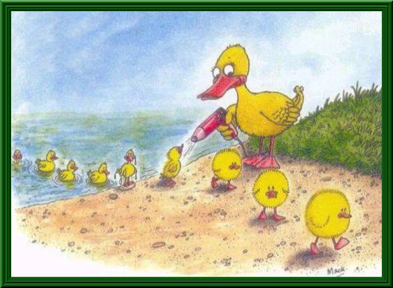 Vignetta Divertente - 23/03/2012