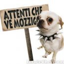 ATTENTI CHE VE... MOZZICO !! - 08/03/2012