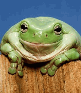 SI NESSUNO ANCORA NUN T'HA FATTO UN SORRISO... AVVICINATE A ME !! - 15/04/2012