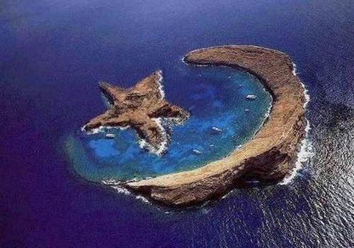 Scherzo della natura - 19/03/2012