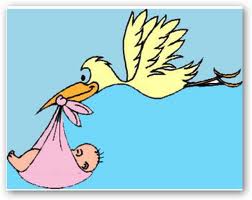 Dopo 8 anni di matrimonio scoprono che i bambini non li porta la cicogna - 04/03/2012
