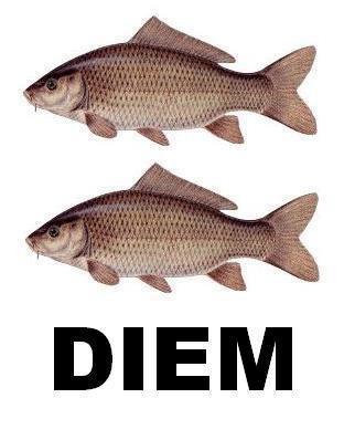 SI L'HAI CAPITA... DEVI CONDIVIDE !! - 15/03/2012