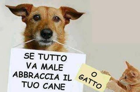 Immagine Divertente - 04/03/2013