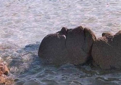 Scherzo della natura - 19/03/2012