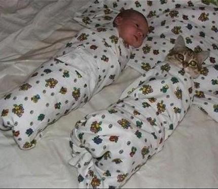Immagine Divertente - 23/03/2012