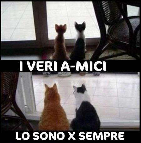 'A VERA AMICIZIA... NUN FINISCE MAI !! - 22/04/2012