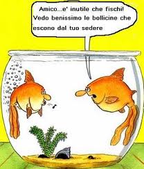 Vignetta Divertente - 22/04/2012