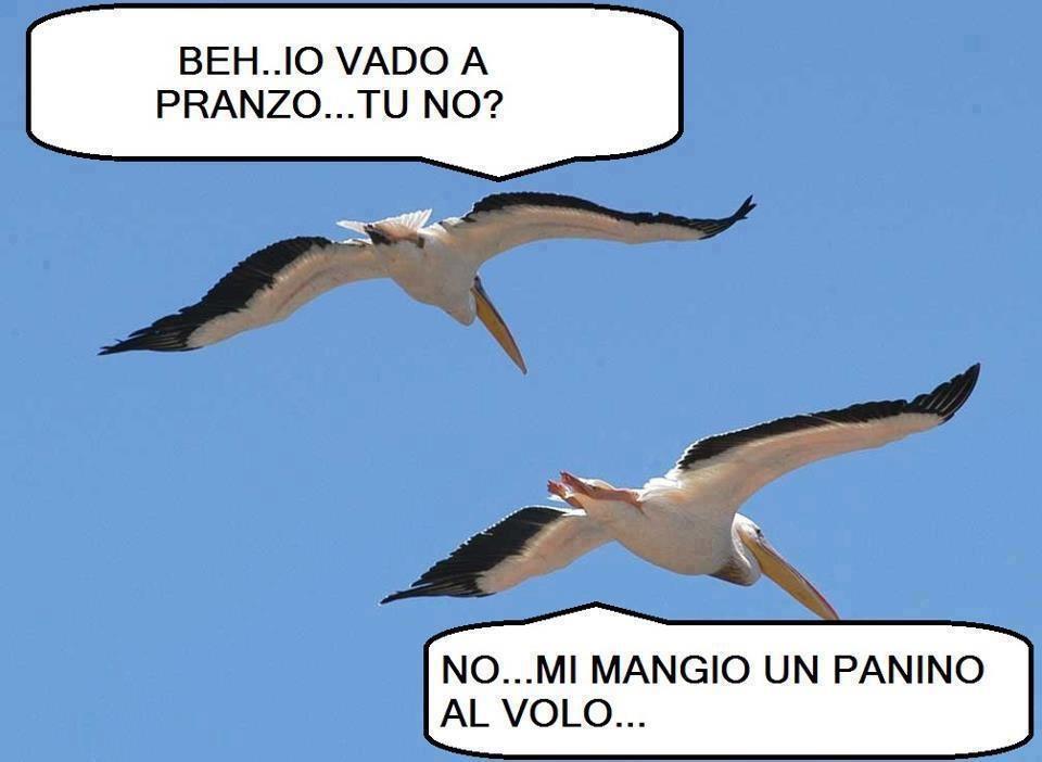 Immagine Divertente - 02/02/2013