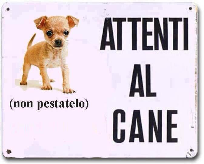 Immagine Divertente - 25/02/2013