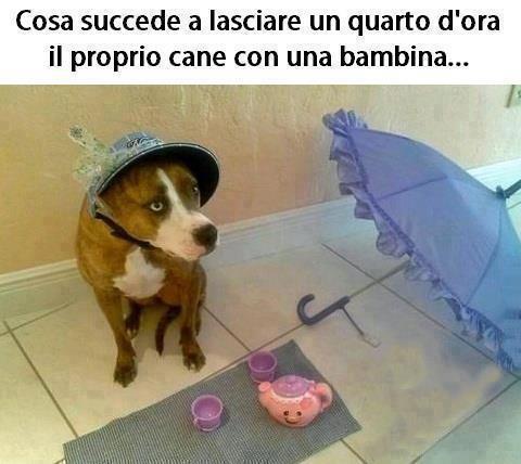 Immagine Divertente - 26/04/2013