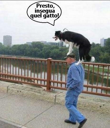 Vignetta Divertente - 17/05/2013