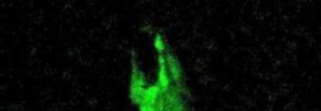 MEDJUGORJE, NUOVO MIRACOLO? LA SENSITIVA: ''LA MADONNA SI È ILLUMINATA'' - FOTO ALL'INTERNO - 25/09/2013