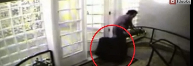Uccide la madre, la fa a pezzi e la mette in una valigia: smascherato - Video shock - 29/10/2013