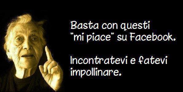 SEGUI 'STO CONSIJO... - 15/10/2013