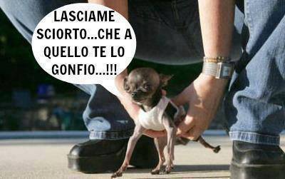 Vignetta Divertente - 15/10/2013