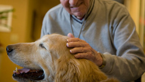 LA COMMOVENTE LETTERA DI UN ANZIANO AL SUO CANE - 17/04/2014