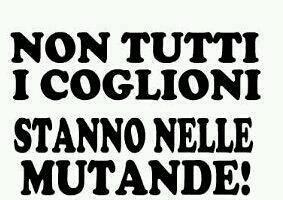 Immagine Divertente - 04/10/2012