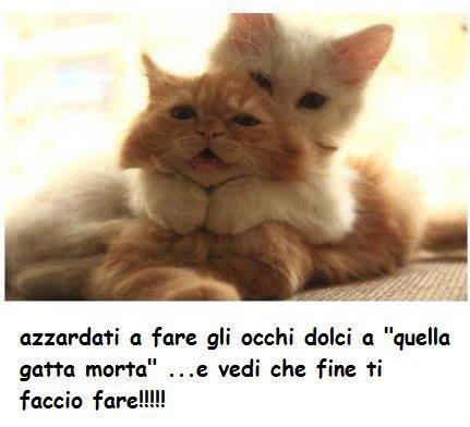 NUN TE PERMETTE !! - 05/10/2012