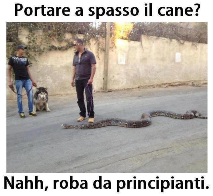 NUN STAI BENE !! - 07/10/2012