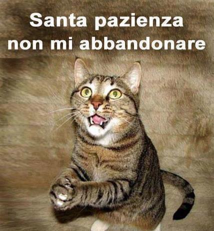 Immagine Divertente - 19/10/2012
