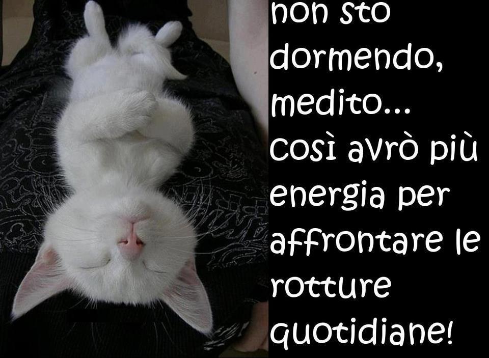 STO A MEDITA' !! - 19/10/2012