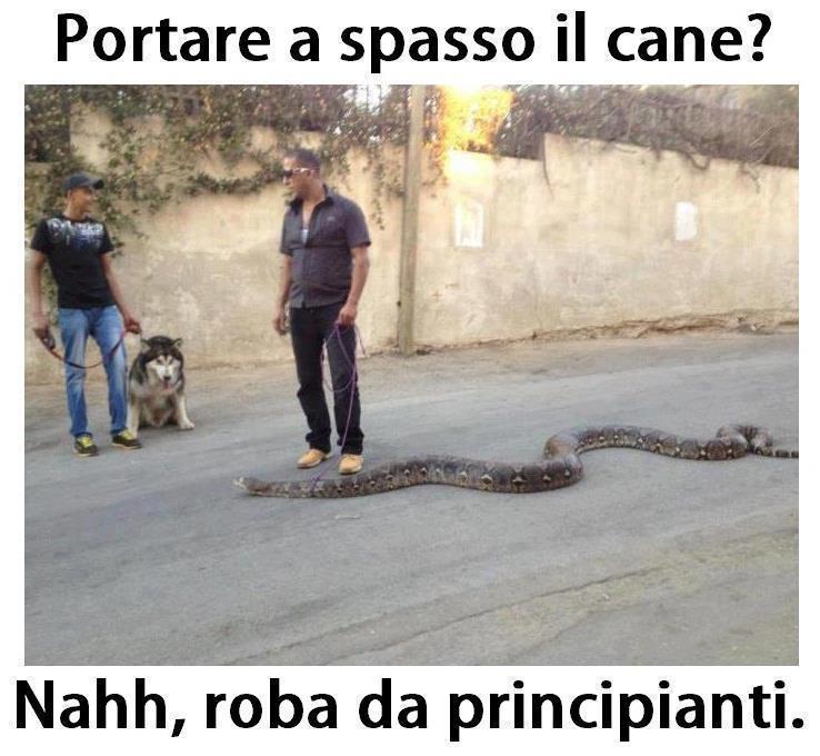NUN STAI BENE !! - 19/10/2012