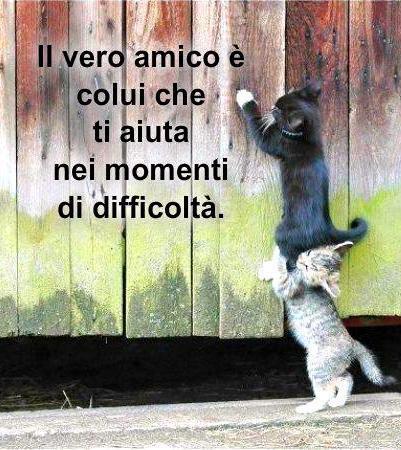 Immagine Divertente - 22/10/2012
