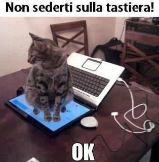 FACCIO QUELLO CHE ME DICI !! - 23/10/2012