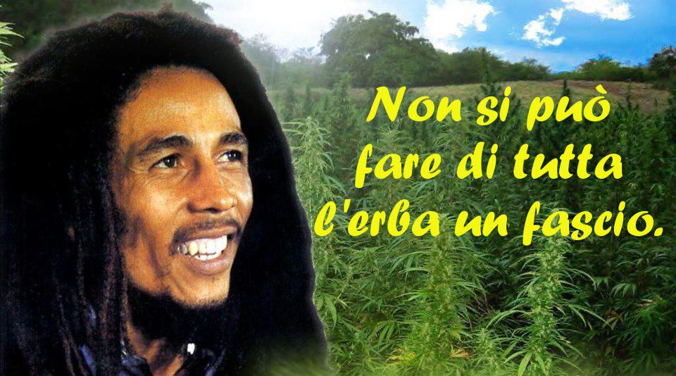 Immagine Divertente - 24/10/2012