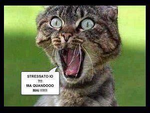SO' CARMO E TRANQUILLO !! - 24/10/2012