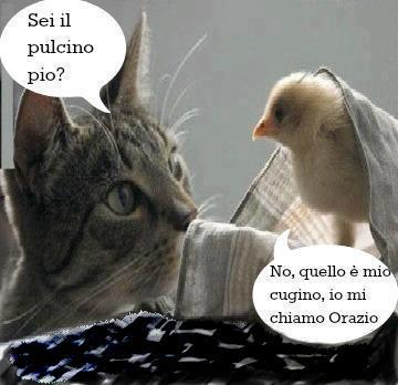 NUN SO' IO !! - 30/10/2012
