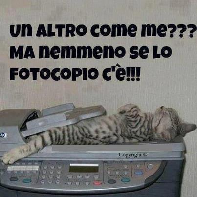 NUN CE NE SO' !! - 05/09/2012