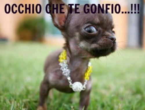 NUN ME FA ARRABBIA' !! - 09/09/2012