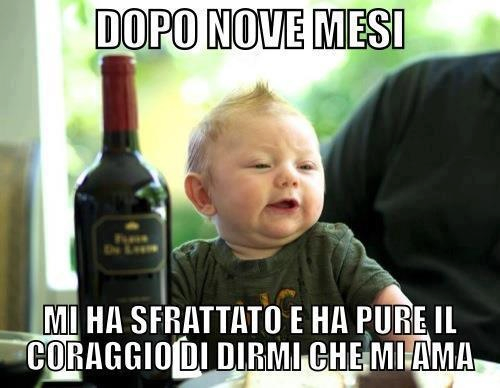 Immagine Divertente - 14/11/2012