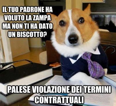 Immagine Divertente - 09/10/2012
