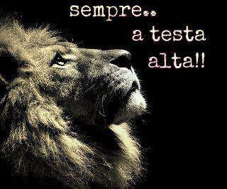 Immagine Divertente - 16/10/2012
