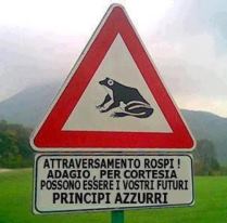 Immagine Divertente - 22/10/2012