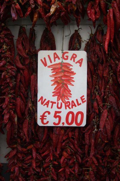 Immagine Divertente - 20/11/2012