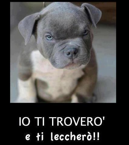 Immagine Divertente - 21/11/2012