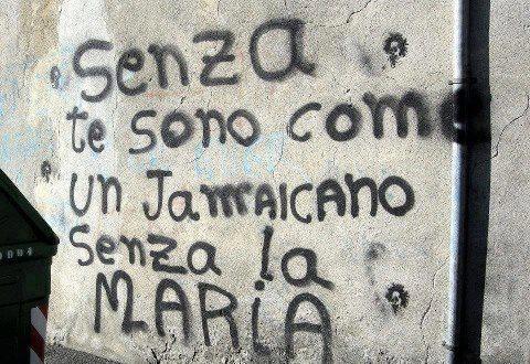 Immagine Divertente - 22/11/2012