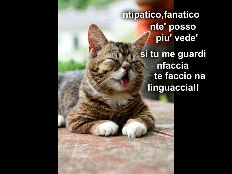 Immagine Divertente - 05/12/2012